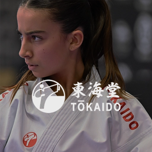 Acordo Tokaido Portugal